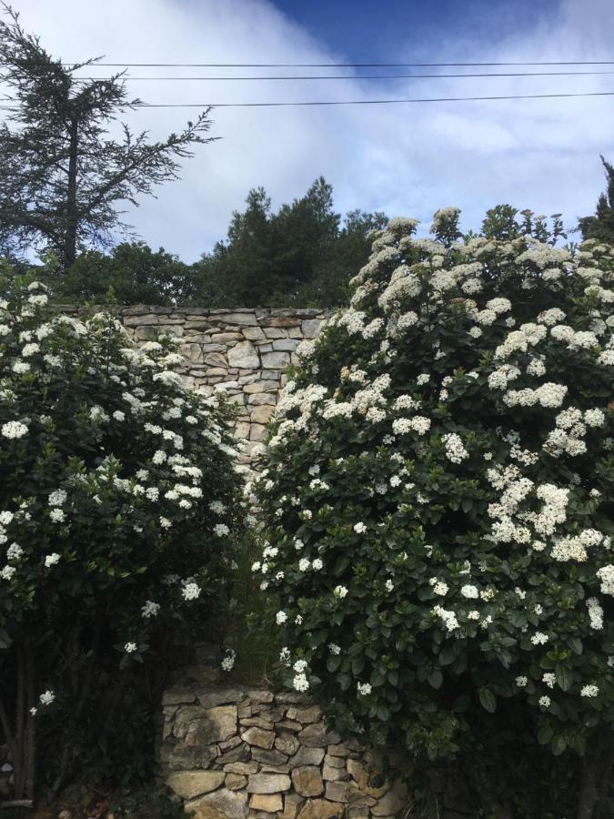 La Chambre Haute Et Son Spa Nîmes Eksteriør bilde